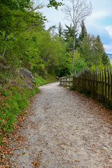 idyllischer Wanderweg an den Erdpyramiden Lengmoos bei Ritten, Bozen in Südtirol, Italien
