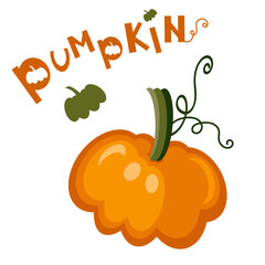 Web Bright appetizing Pumpkin with the word Pumpkin on a white background. Autumn food and drinks