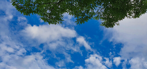 Obraz premium blue sky and clouds