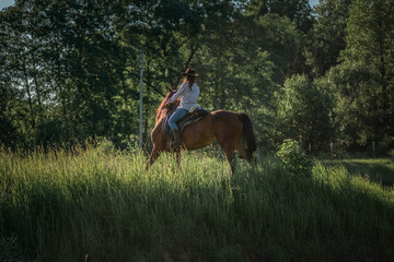 Portrait of a young beautiful girl in a cowboy hat on a horse in the forest.