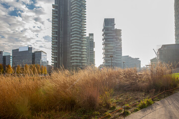  BAM Tree Library Milan   ( park) on foreground  and skysrapers of Milan  - autumn!