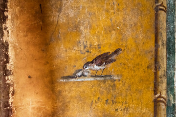 detail of ancient fresco of a bird in a house in Pompeii.