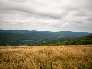 landscape in the mountains