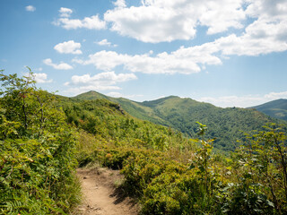 Fototapeta na wymiar hiking trail with shrubs and panorama view