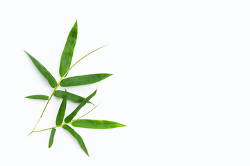 Fototapeta premium Fresh bamboo leaves on white background.