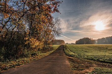 Wąska wiejska droga jesienią na Śląsku w Polsce