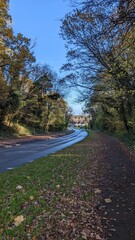 road in autumn forest