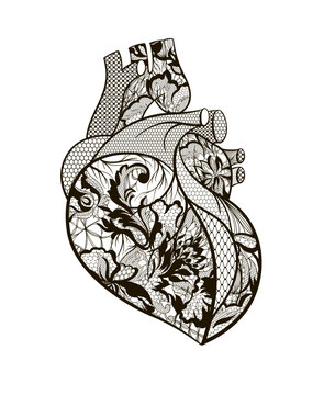 heart illustration, anatomical. Lace pattern.