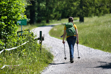 person walking in the park retirement, adventure, senior, summer, couple, fun, old, happy, enjoying, countryside, people, landscape, trees, pine, adult, pensioner, sports, walker, sporty, park