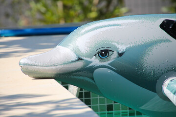 Ein aufblasbarer Delphin am Pool in Italien