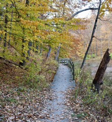 The old wooden boardwalk bridge on the trail.