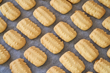 Homemade Christmas cookies on a baking sheet