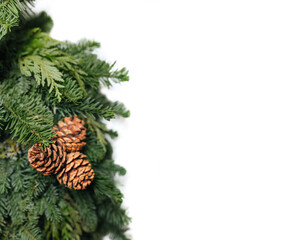 christmas tree branches with cones