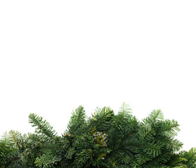 christmas tree branches