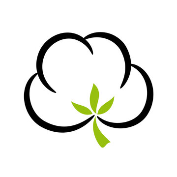 cotton flower silhouette, line art illustration over a transparent background, PNG image