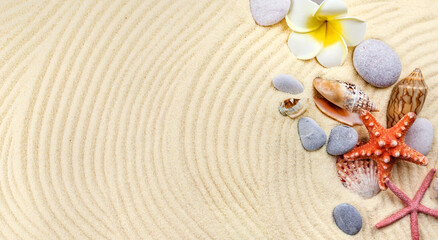 Background with seashells on the sand. Selective focus.