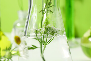 Concept of biology and chemistry research with flowers