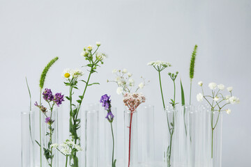 Concept of biology and chemistry research with flowers