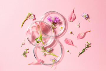Concept of biology research with flowers, top view