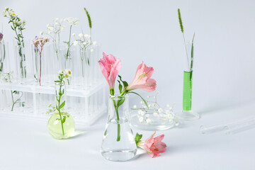 Concept of biology and chemistry research with flowers