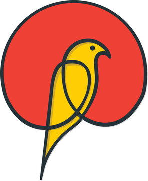 Cute Bird