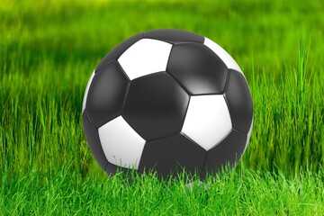 Classic football or soccer ball on grass