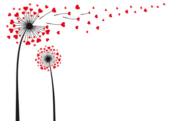 dandelion flowers with flying red hearts, illustration over a transparent background, PNG image