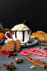 Hot chocolate with whipped cream 