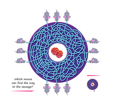 Best Labyrinths. Which Mouse Can Find The Way To The Sausage? Logic Puzzle Game. Brain Teaser Book With Maze. Kids Activity Sheet. Educational Page For Children. Play Online. Vector Illustration.