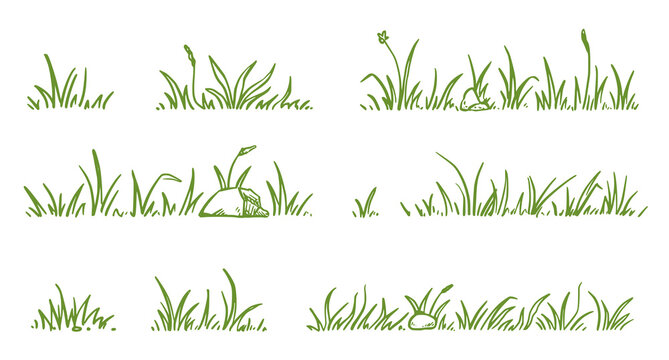 Grass doodle sketch style set. Hand drawn green grass field outline scribble background. Sprout, flower, clover elements. Vector illustration.