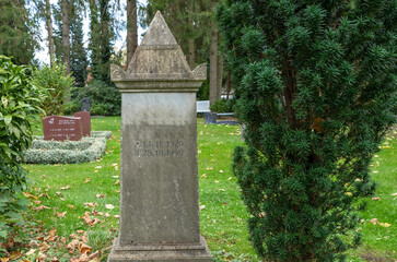 Fototapeta premium alter Grabstein neben einem Lebensbaum auf einem Friedhof in Hamburg