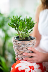 Fototapeta premium woman holding a plant in a pot