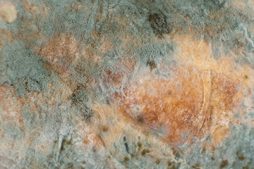 Mold on bread, macro, top view. The danger of mold, stale products.