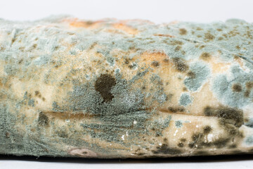 Mold on bread on a white background close-up. The danger of mold, stale products.