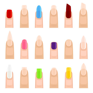 Nail Shape Type with Different Manicure Big Vector Set