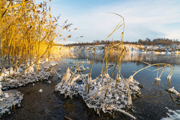 Ice figures of water in the reed bushes on the shore of the reservoir.