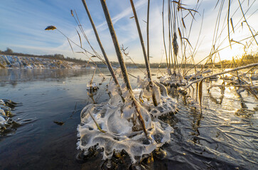 An icy figure of water in the reed bushes on the shore of the reservoir.