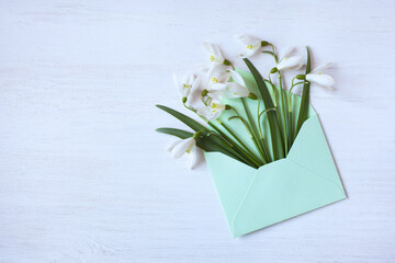 Bouquet of spring snowdrop flowers in an envelope on a white wooden background, copy space