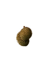 Durian is the king of fruit with blank background