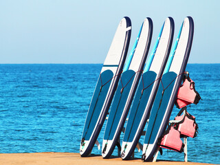 Surfboards swimming on the background of the sea