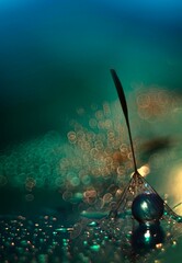 Jesienna impresja - Dmuchawce i kule żelowe © mycatherina