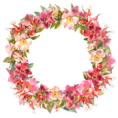 Watercolor rose hip wreath. Flowers, leaves and fruits of wild roses. Watercolor illustration isolated on white background.