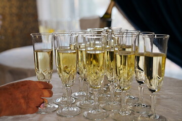 lots of glasses of wine or champagne on the table