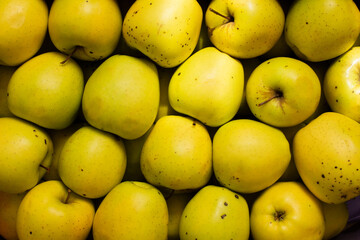 close-up a lot of golden apples in a box