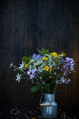 Floral still life- flower chamomile on a dark abstract background