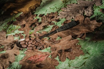 Still life on the kitchen table. Brown roasted beans on a dark green background