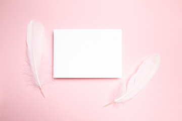 Holiday greeting card mockup with white feather on light pink background, top view, flat lay. Blank...