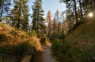 Cortina d’Ampezzo, Bobbahn, Kunsteisbahn, James Bond, 007, Cortina, Bobsport, Skeleton, Weg,...