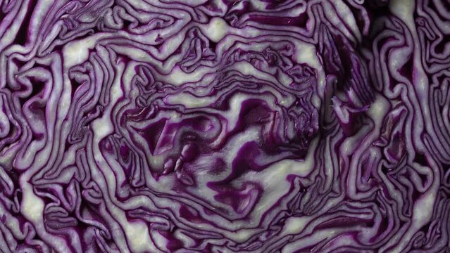 Background of blue cabbage in a section, macro photography. Close up, top view. Texture and pattern of raw purple cabbage, rotate