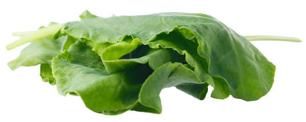 Pile of fresh green baby spinach leaves
